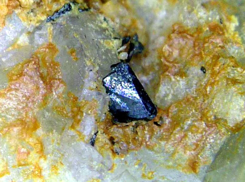 Cechita
Campo de visión 5 mm.
(Autor: Antonio P. López)