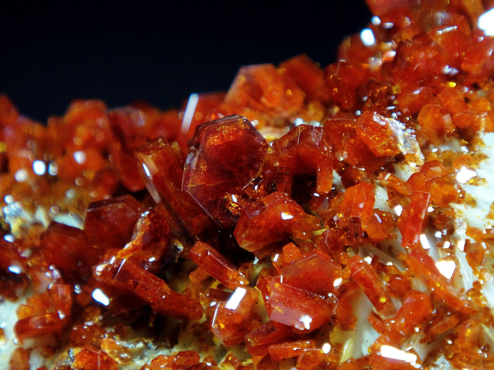 Vanadinita
Campo de visión 4 cm.
(Autor: Antonio P. López)