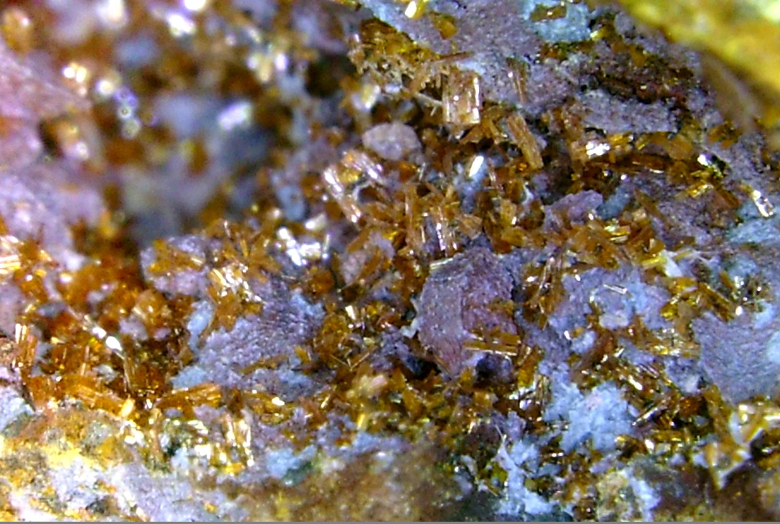 Calderonita
Campo de visión 10 mm.
(Autor: Antonio P. López)