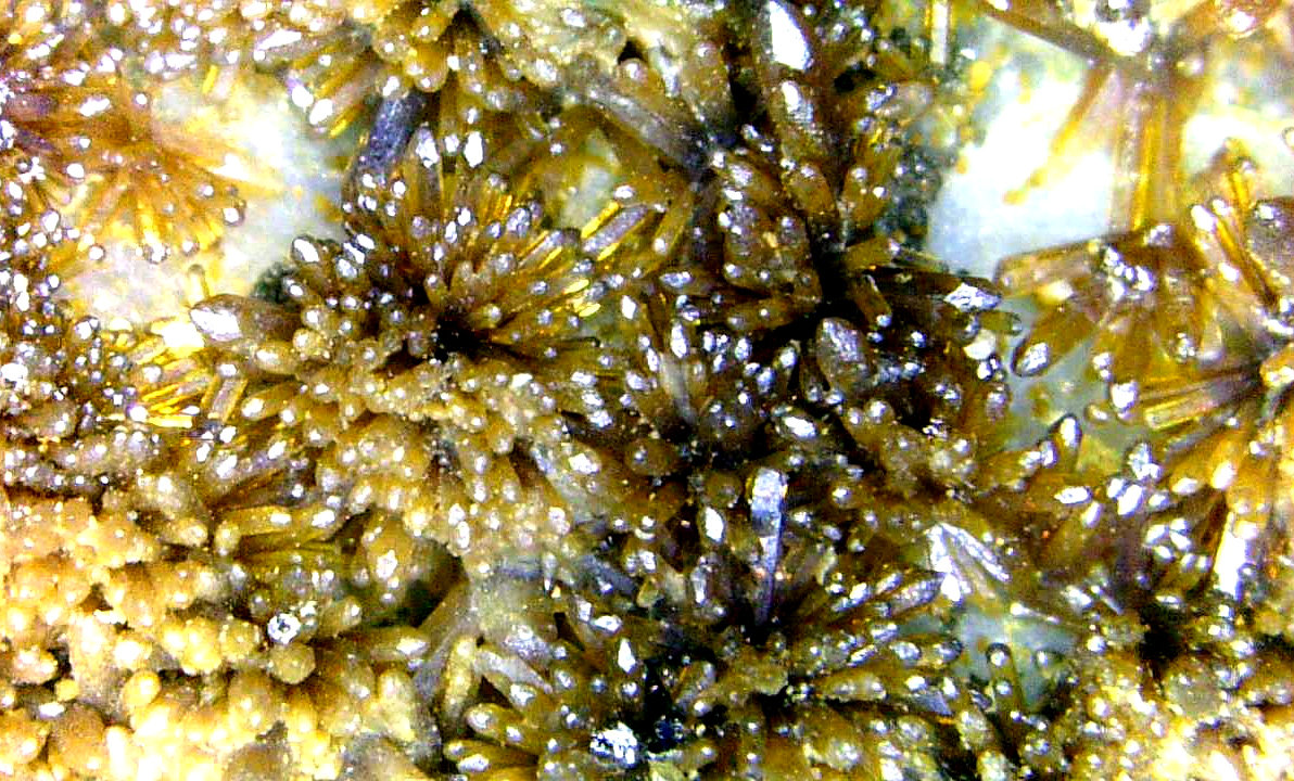 Vanadinita
Campo de visión 10 mm.
(Autor: Antonio P. López)