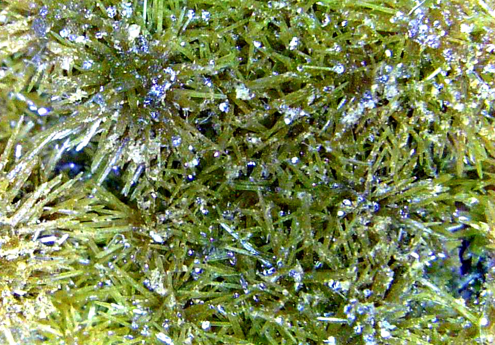 Vanadinita
Campo de visión 4 mm.
(Autor: Antonio P. López)