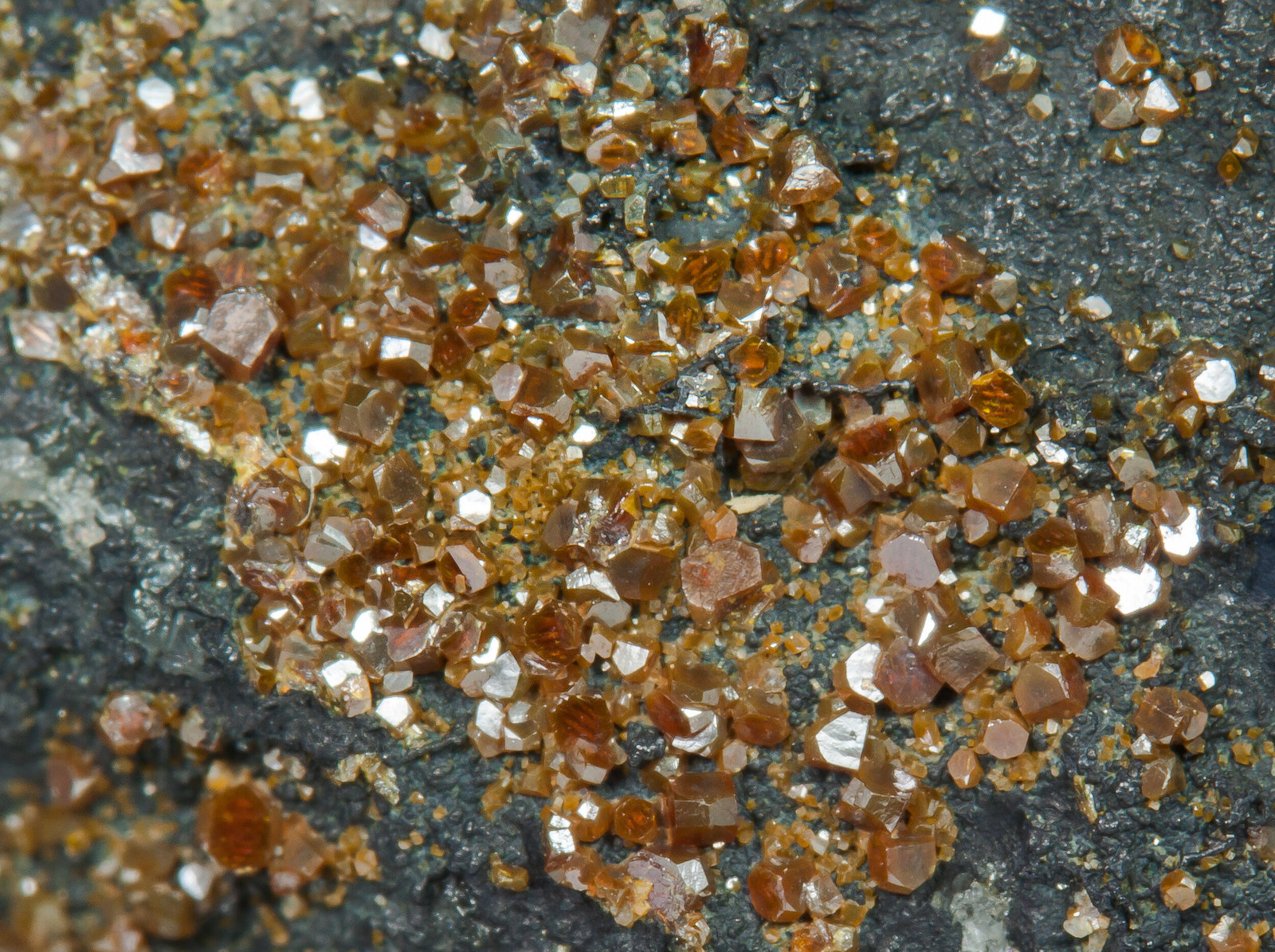 Pucherita, Bismuto
Campo de visión 1 cm.
(Autor: Antonio P. López)