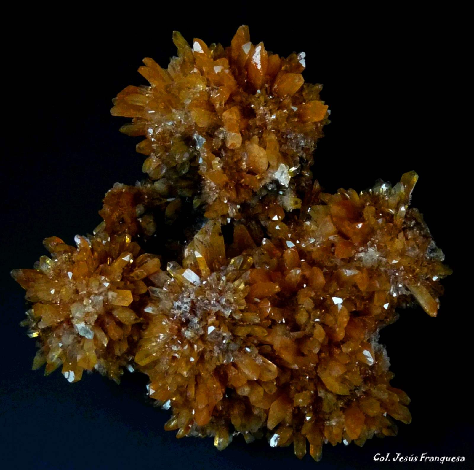 Creedita
110x100 mm.
(Autor: Jesus Franquesa Baucells)