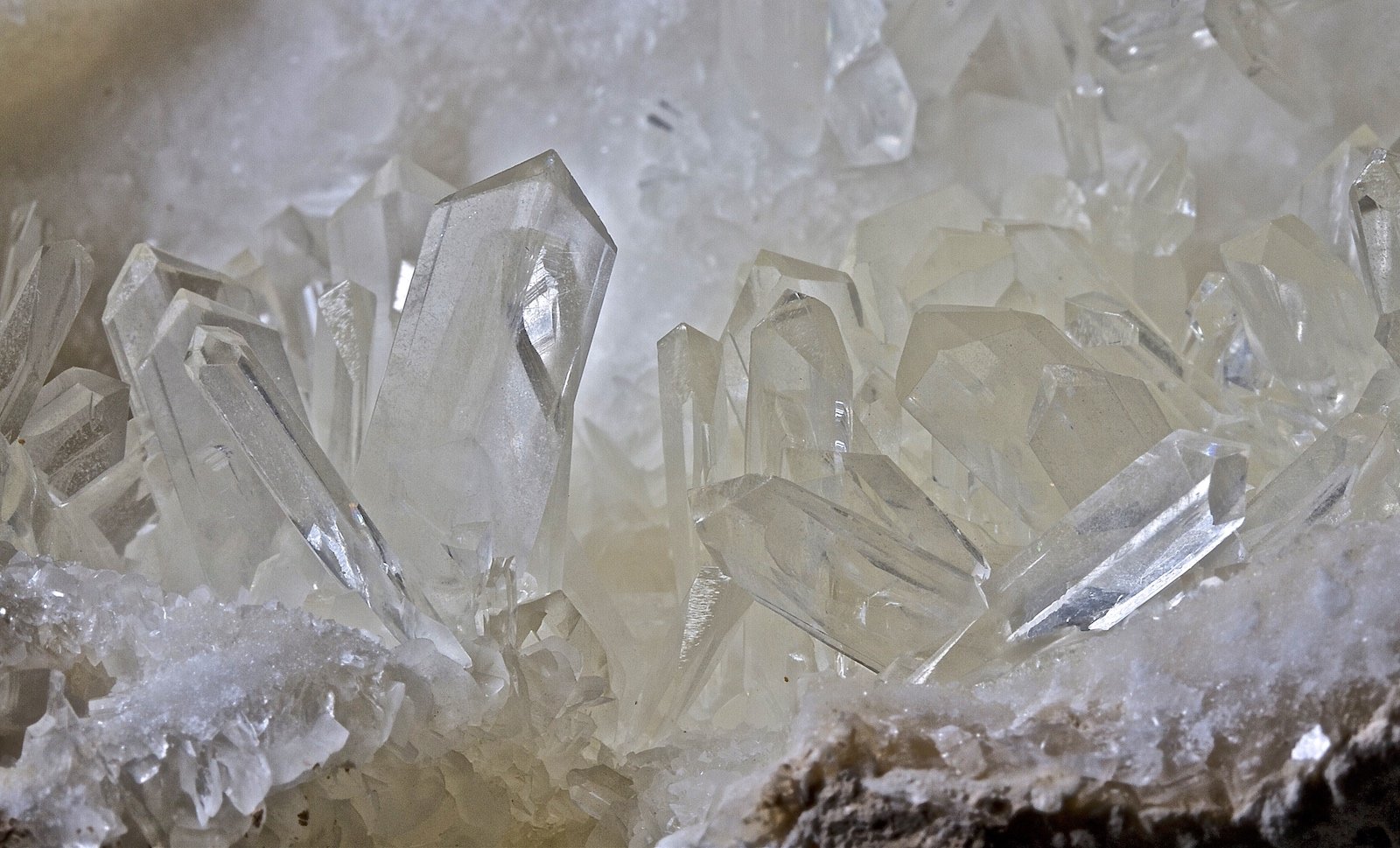 Yeso
11,9 x 9,1 cm.
(Autor: Xavier bordas)