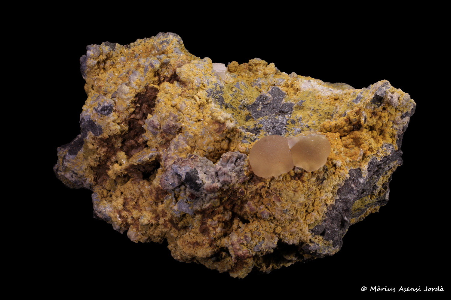 Fluorita
Esfera 0.4 cm
(Autor: Jorgina-Agusti-Màrius)