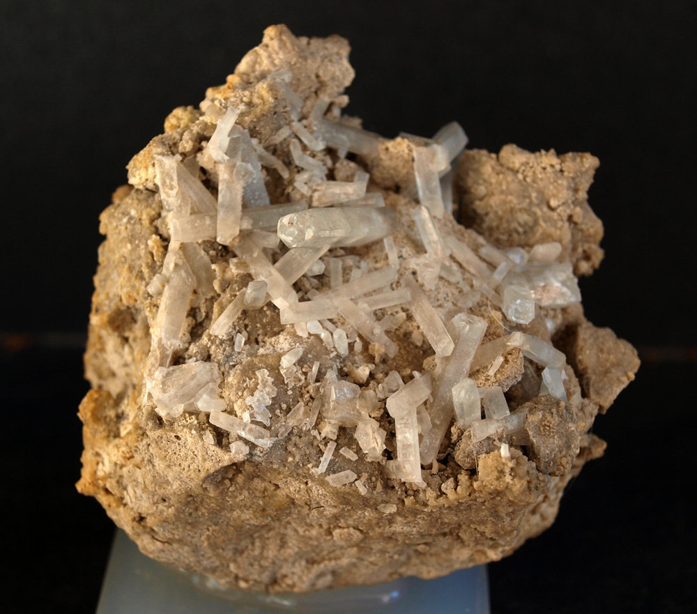 Celestina
7.5 x 6.5 cm
(Autor: Pedro Antonio)