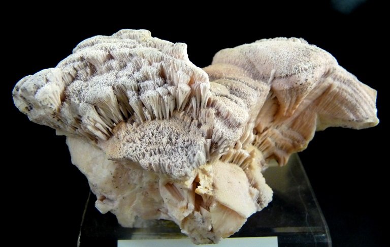 Kutnohorita.
90x55 mm.
(Autor: Jesus Franquesa Baucells)