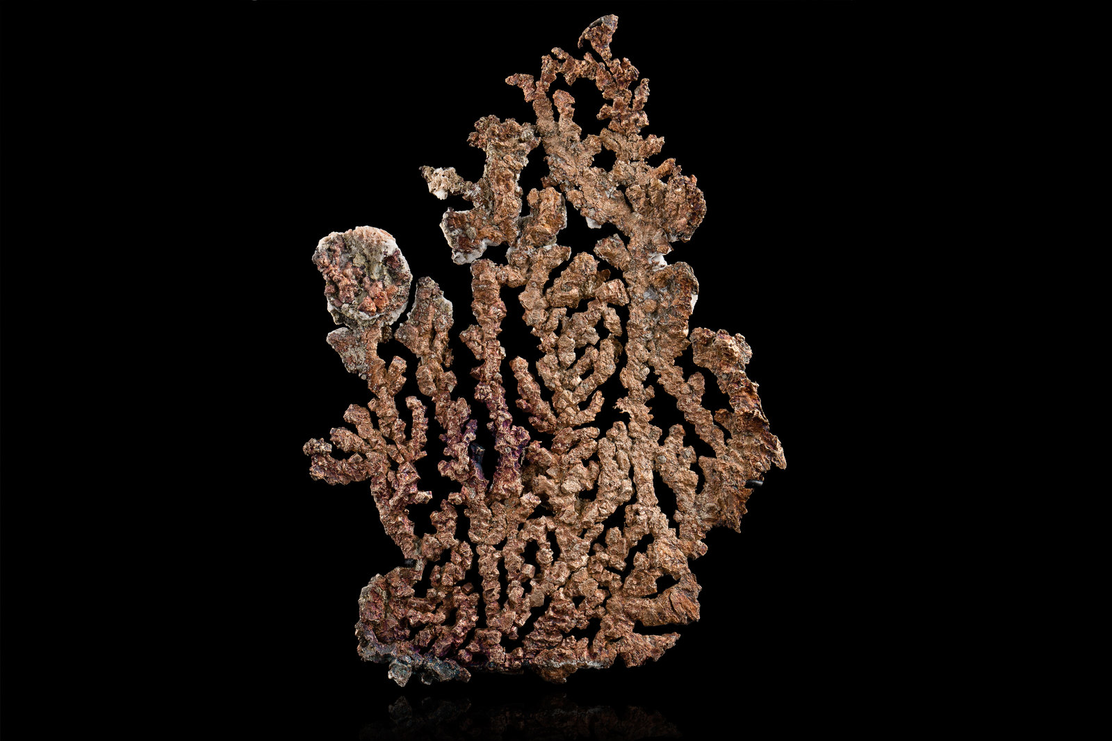Luanheíta
11 x 8,5 x 1,5 cm
(Autor: Museo MIM)