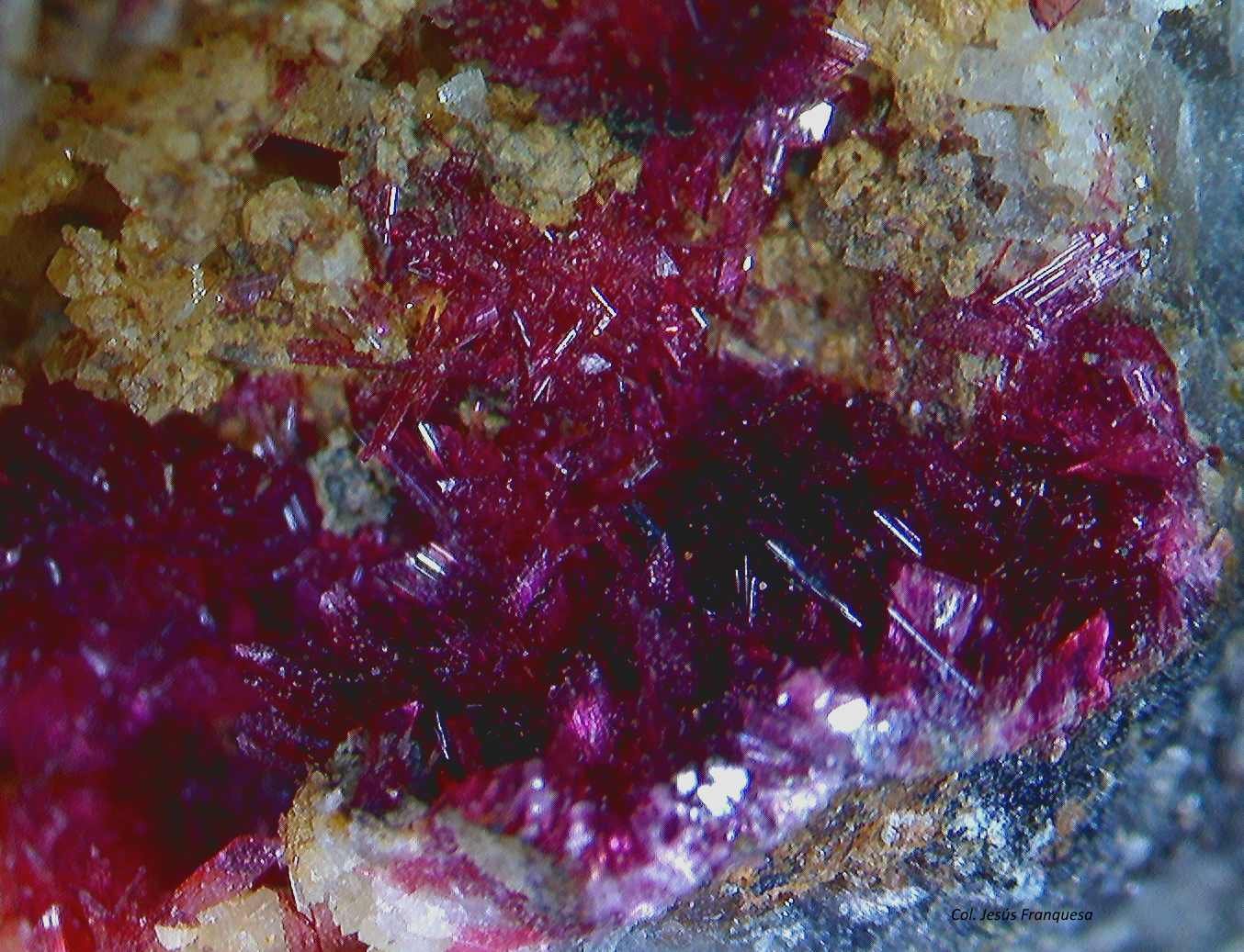 Eritrita (Eritrina).
2´931 x 2´234 mm.
(Autor: Jesus Franquesa Baucells)