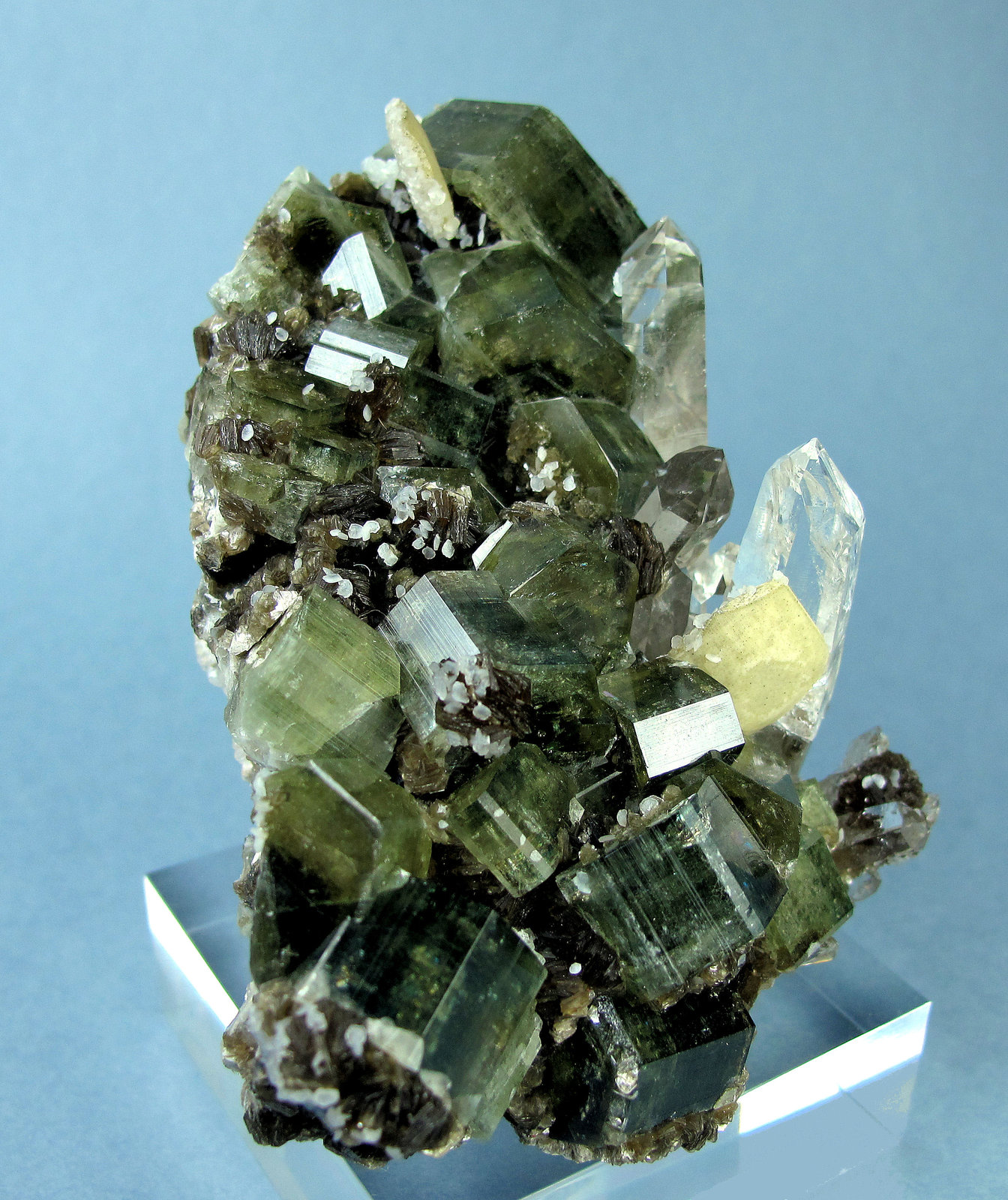Fluorapatito con Cuarzo, Siderita, Moscovita y Calcita-Dolomita
110mm x 72mm. Cristal principal de fluorapatito: 30mm de anchura, 12mm de altura. Cristal principal de cuarzo: 41mm de altura, 17mm de anchura
(Autor: Carles Millan)