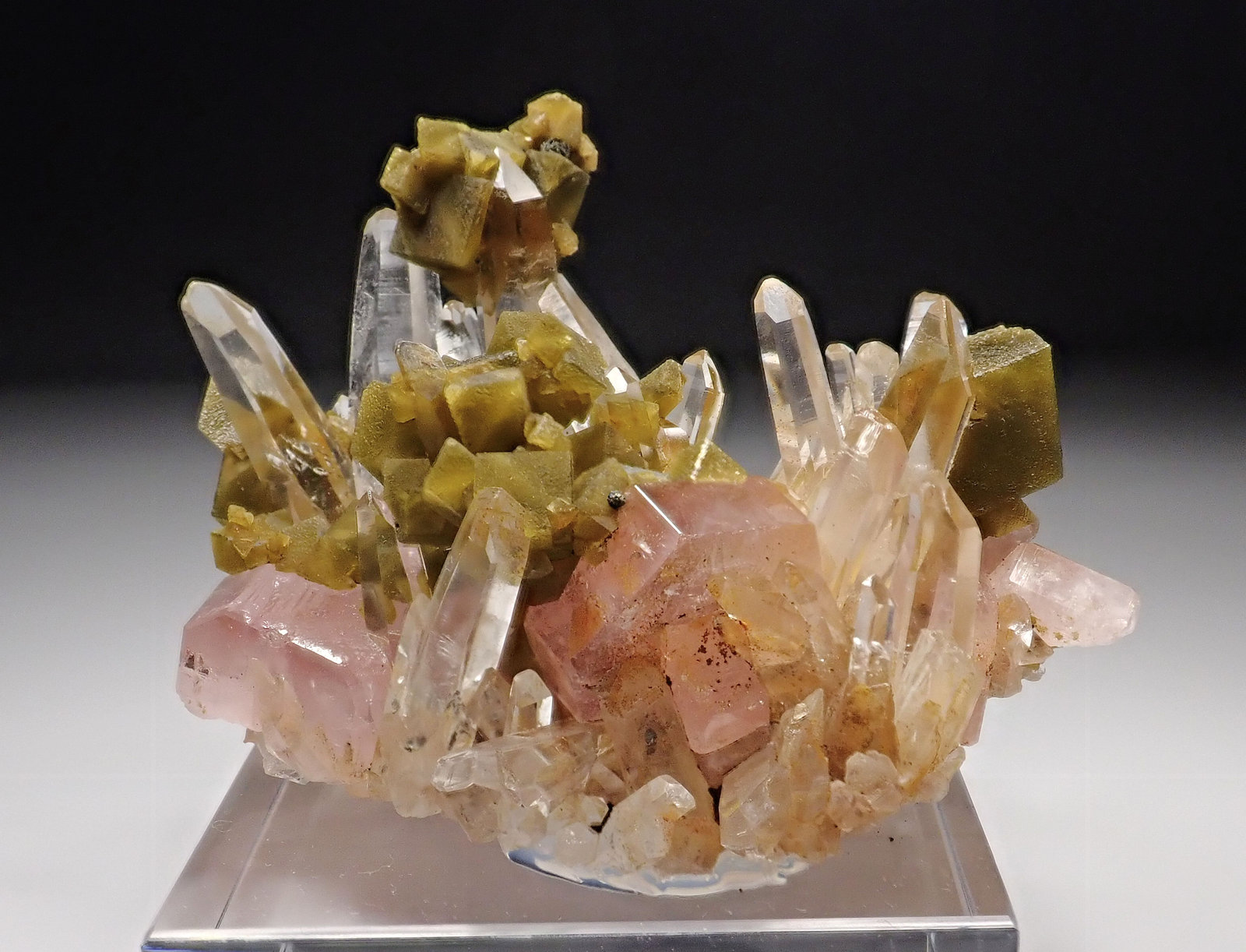 Fluorapatito, siderita, cuarzo
74 mm x 52 mm. Masa: 87 g.
(Autor: Carles Millan)