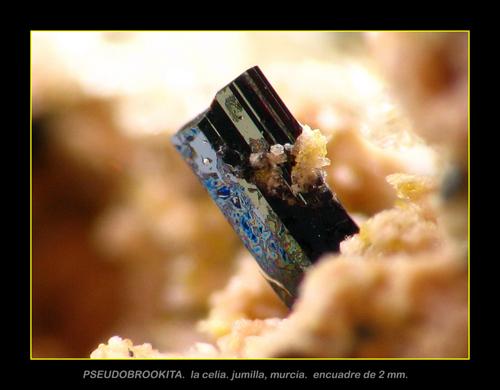 (Autor: josminer)