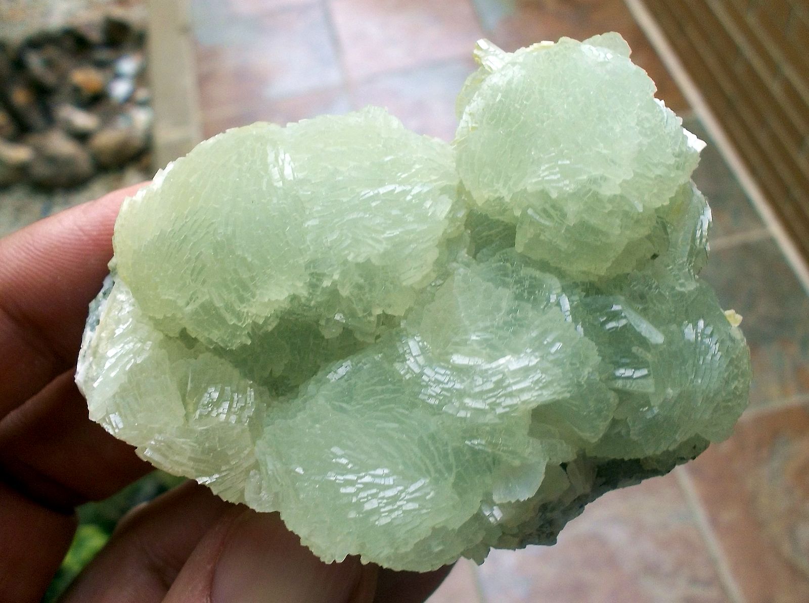 Prehnita
7 x 4,5 cm
(Autor: Cristalino)