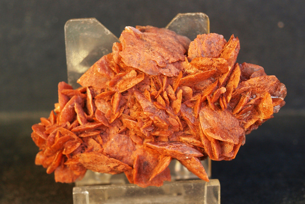 Yeso (variedad rosa de yeso)
6.5 x 4.5 cm
(Autor: Pedro Antonio)
