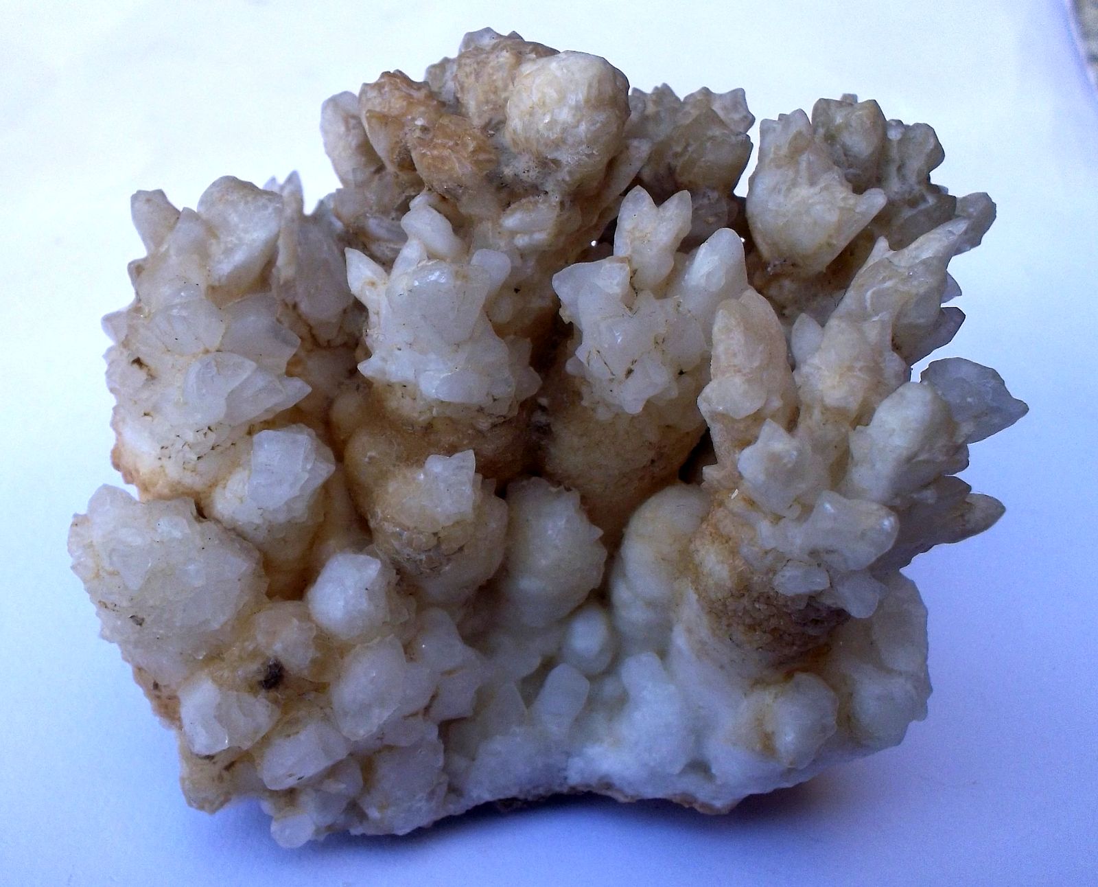 Aragonito, calcita
6 x 6 cm
(Autor: Cristalino)