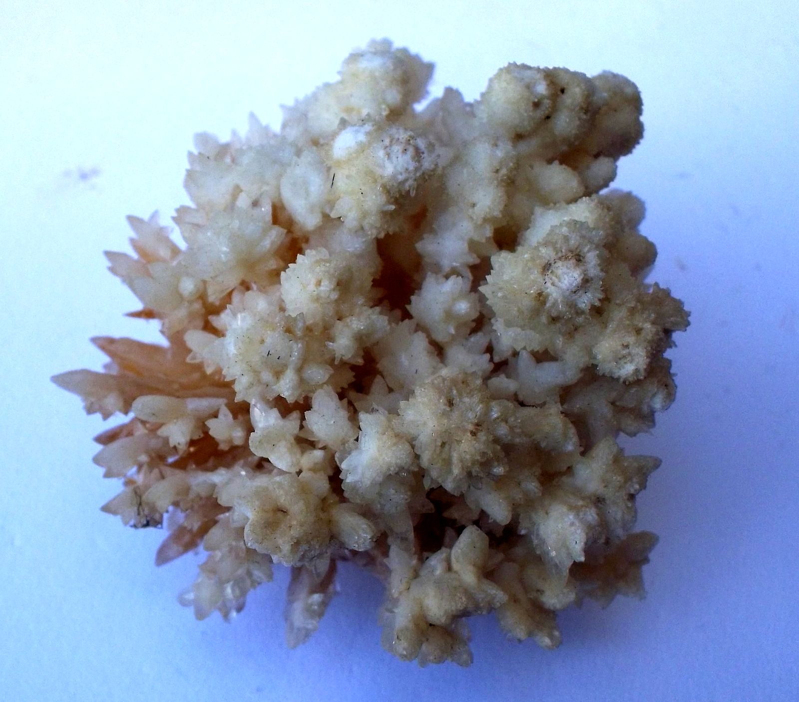 Aragonito, calcita
4 x 4 cm
(Autor: Cristalino)