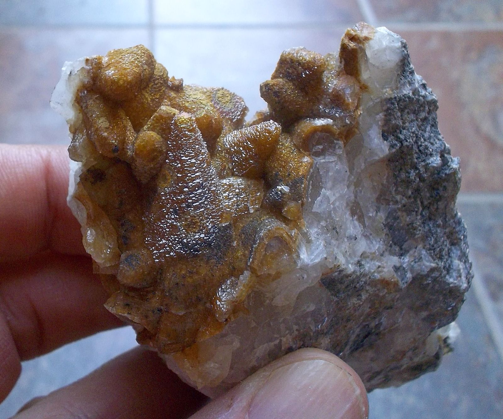 Calcita
5 x 3 cm la zona mineralizada
(Autor: Cristalino)