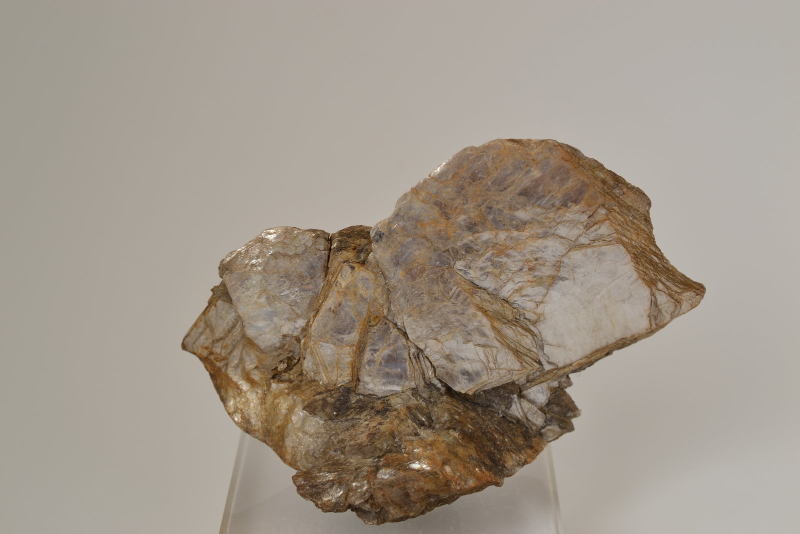 Moscovita
8 x 5,2 x 3,5 cm
(Autor: Raúl S. Llorente)