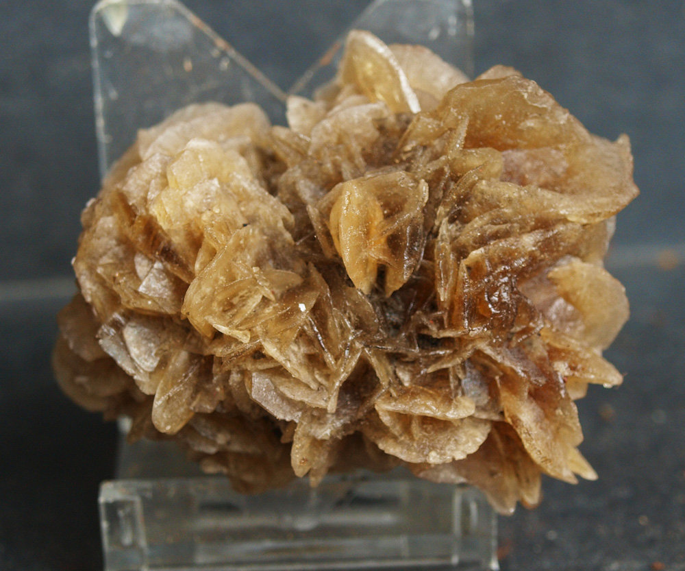 Yeso
6 x 4.5 cm
(Autor: Pedro Antonio)