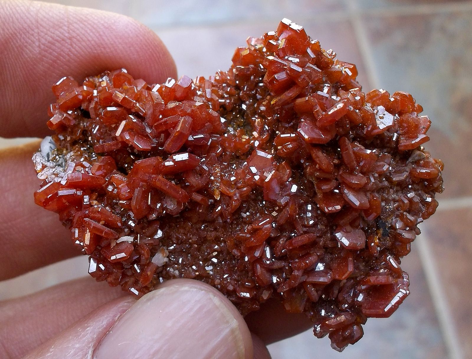Vanadinita
4,5 x 3,5 cm
(Autor: Cristalino)