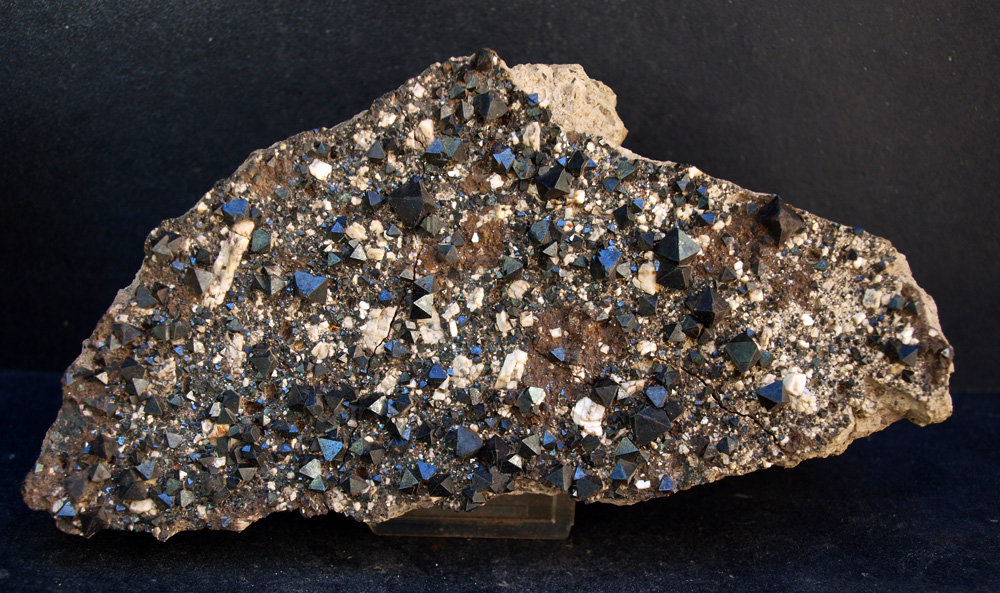 Magnetita
16.5 x 8 cm
(Autor: Pedro Antonio)
