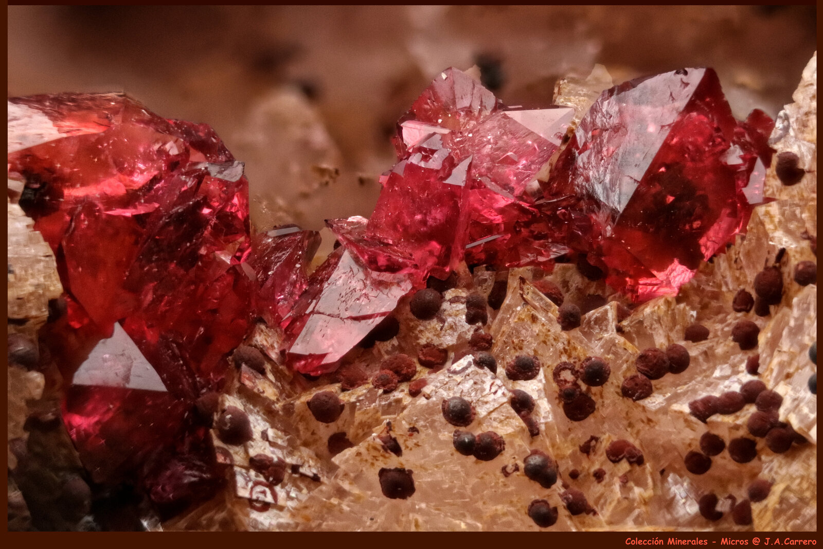 Roselita
FoV: 3 x 2 mm
(Autor: Jose Angel Carrero)