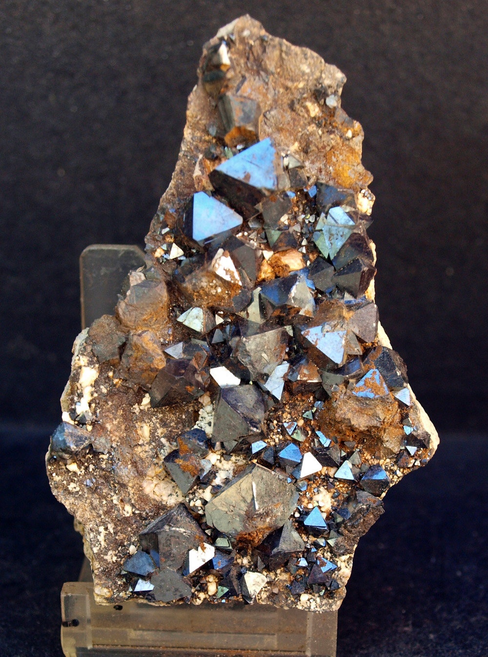 Magnetita
8 x 5.5 cm
(Autor: Pedro Antonio)