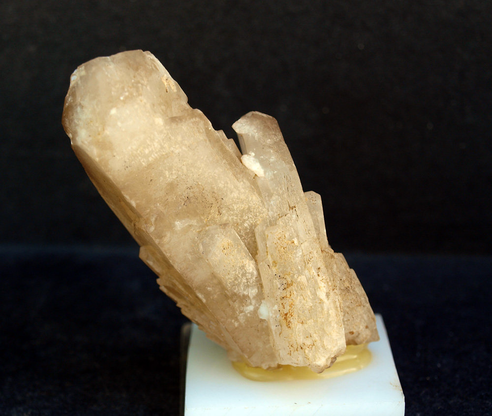 Celestina
7.5 x 3 cm
(Autor: Pedro Antonio)