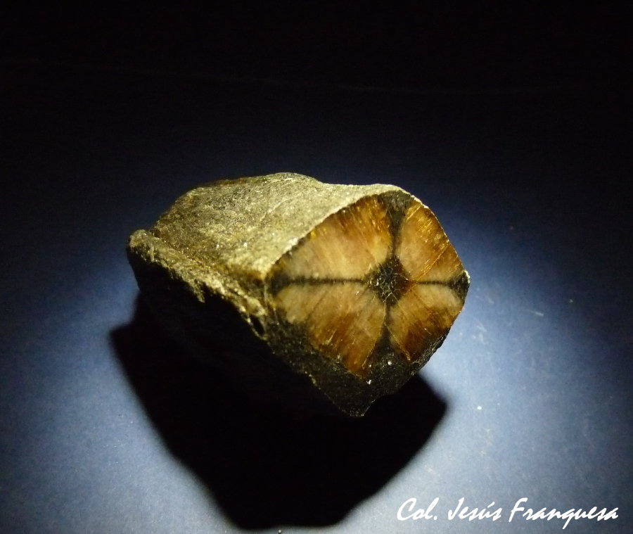 Andalucita (variedad quiastolita)
50x30 mm.
(Autor: Jesus Franquesa Baucells)