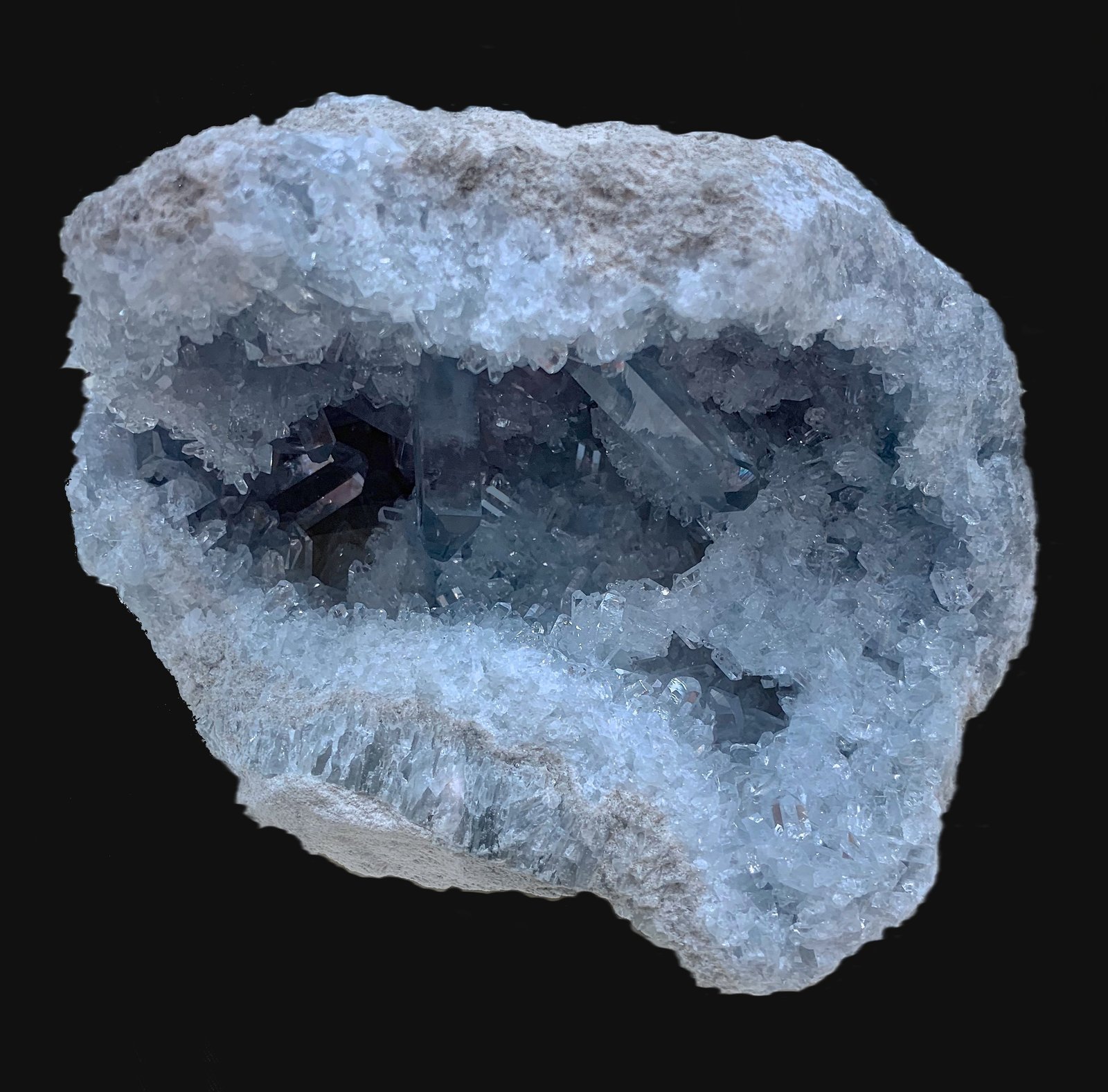 Celestina
17,2 x 11,5 cm.
(Autor: Xavier bordas)