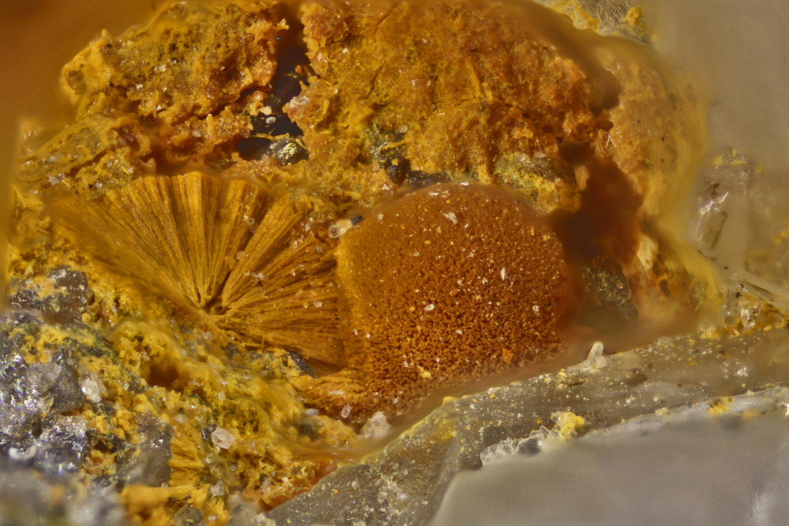 Goethita
Esfera 1mm
(Autor: Jorgina-Agusti-Màrius)