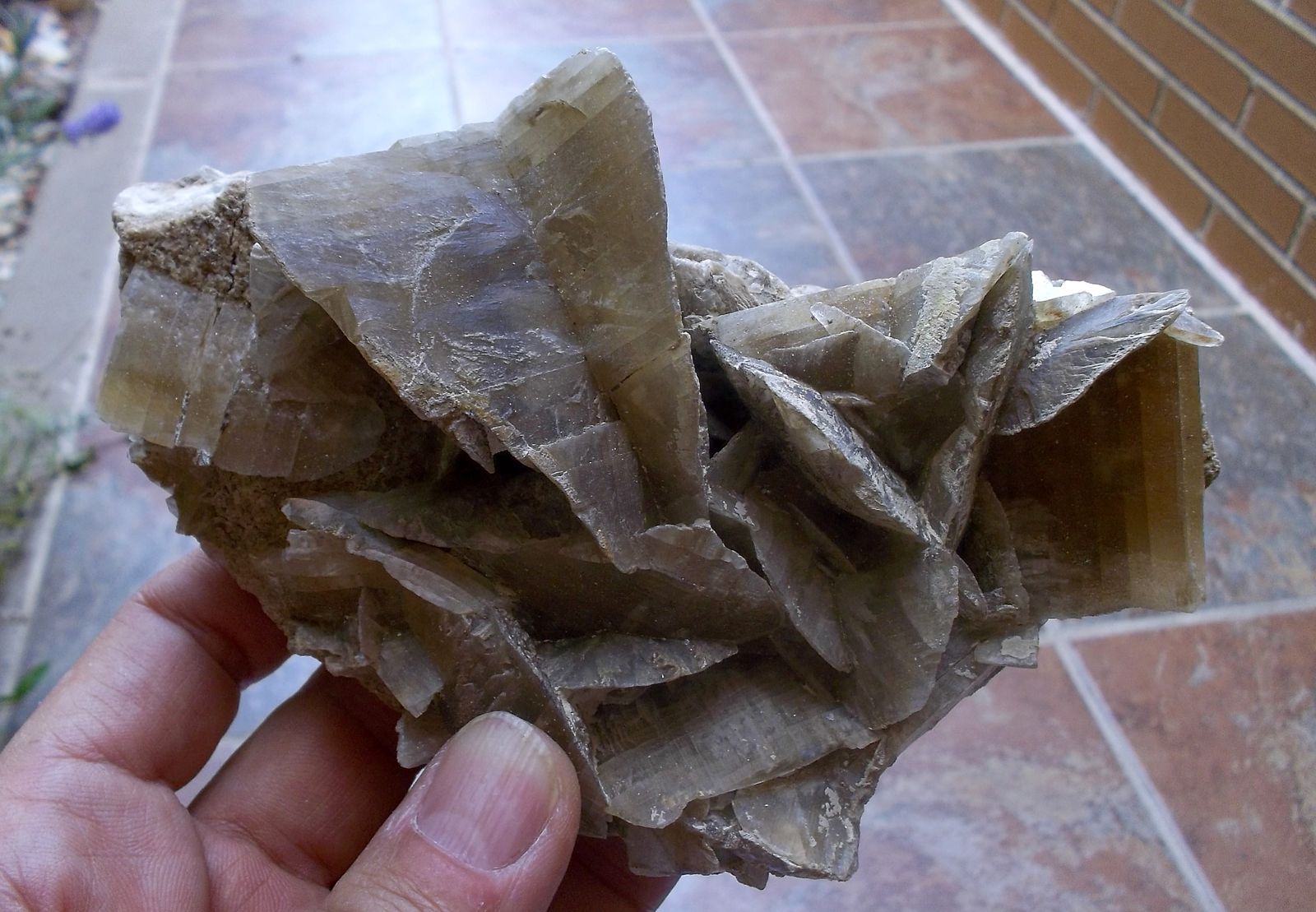 Yeso
13 x 7 cm
(Autor: Cristalino)
