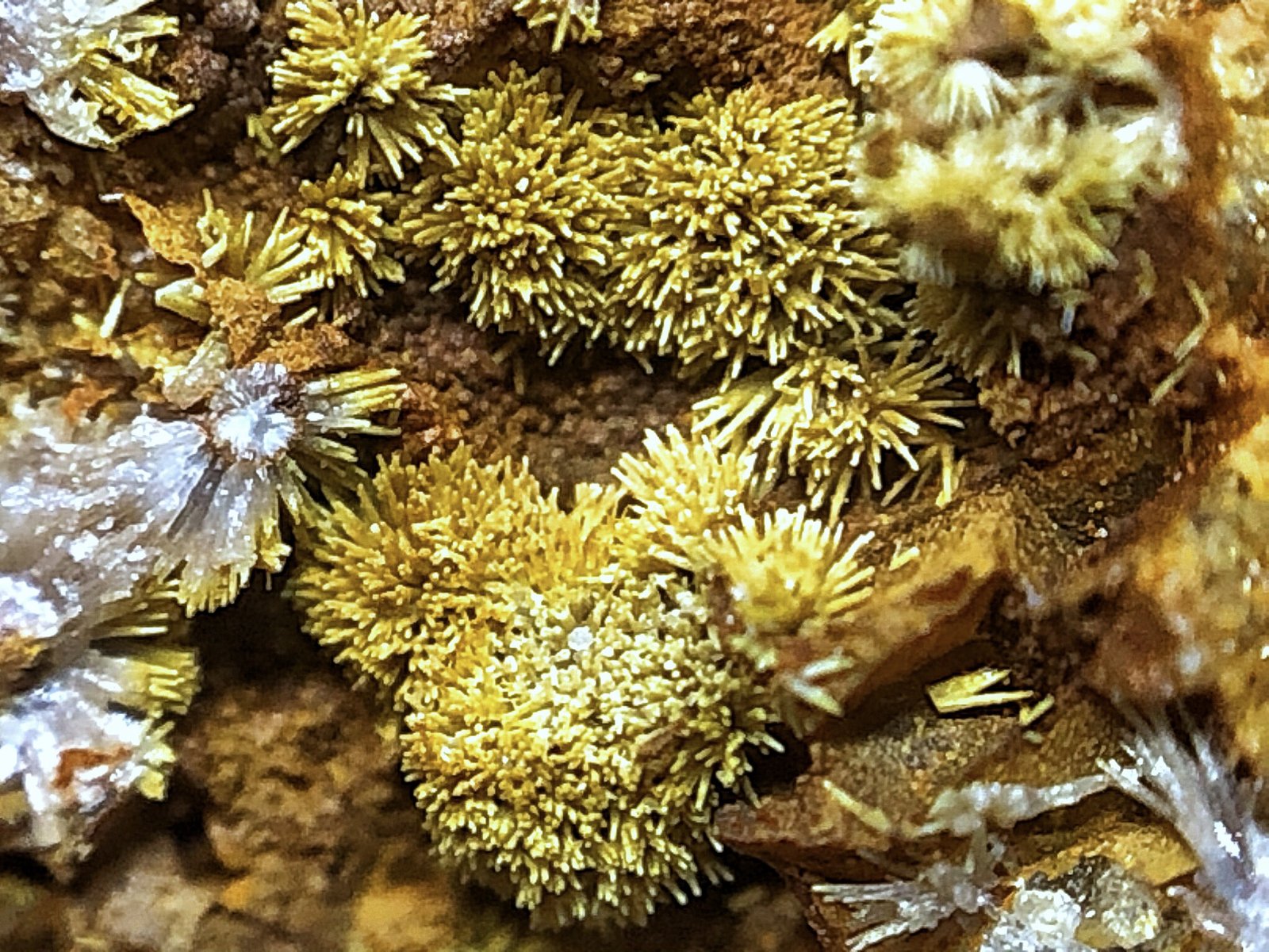 Piromorfita/Fosfohedifana
Encuadre de 5x5 mm
(Autor: Emilio Téllez)