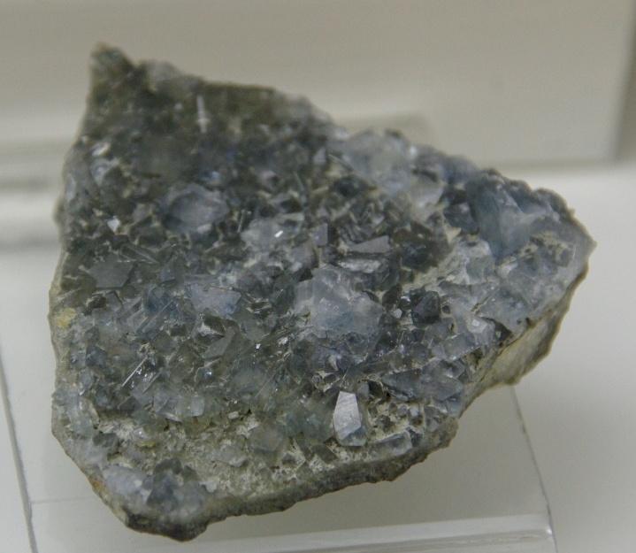 Celestina
50 x 45 cr gr.5 mm
(Autor: Jesus Franquesa Baucells)