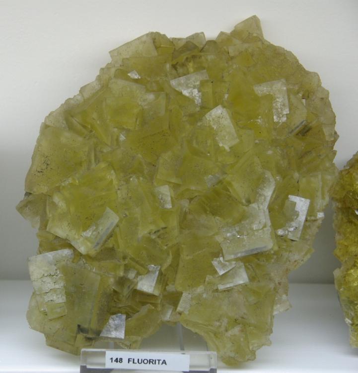 Fluorita,
150 x 130 mm.
(Autor: Jesus Franquesa Baucells)