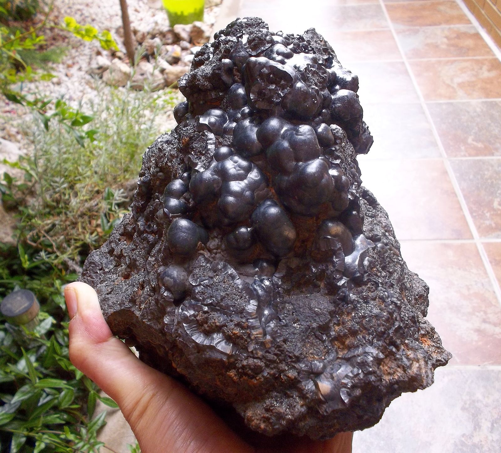 Goethita
18 x 15 cm
(Autor: Cristalino)