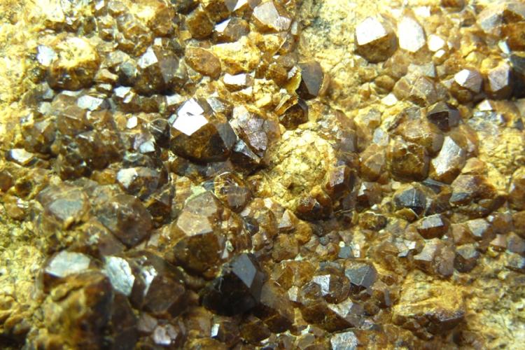 Granate
110 x 75 mm.
(Autor: Jesus Franquesa Baucells)
