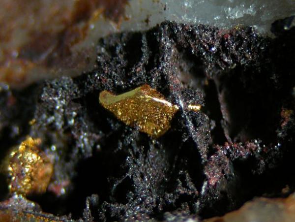 (Autor: Nacho)