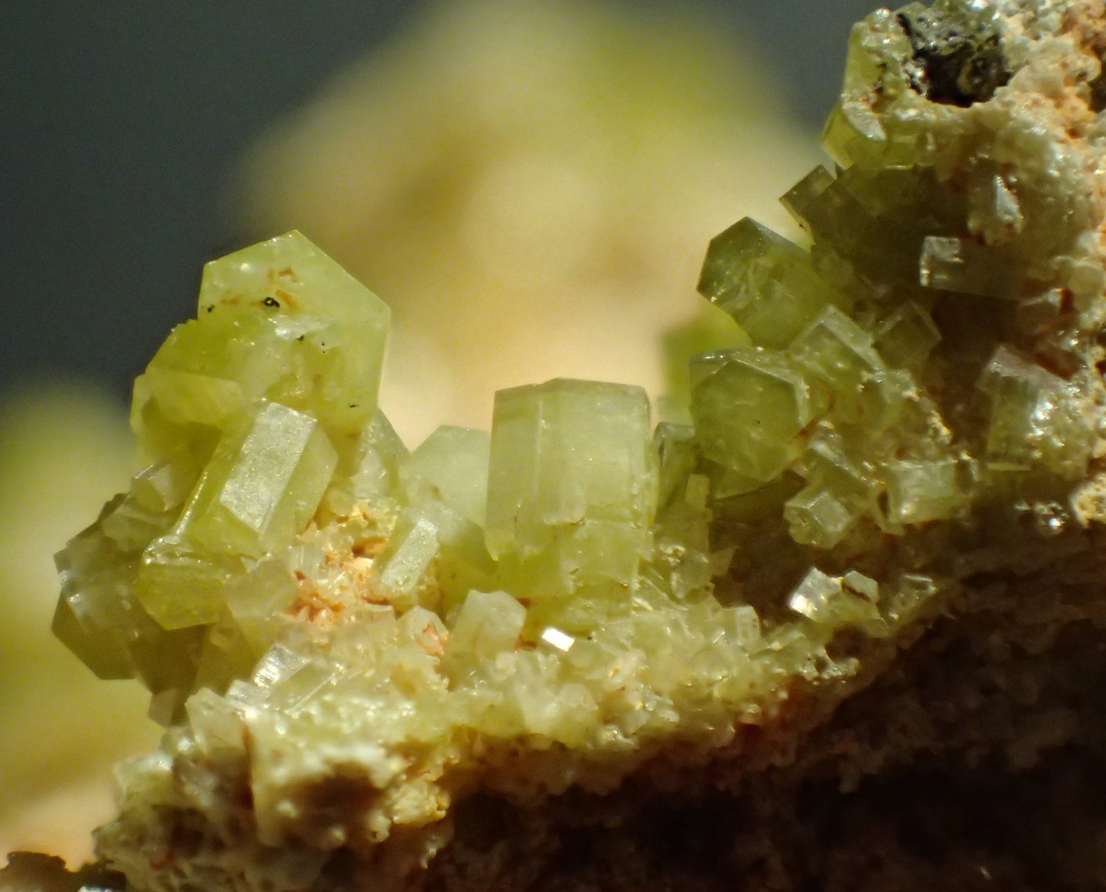 Piromorfita
1,5 x 1 cm (encuadre)
(Autor: Frederic Varela)