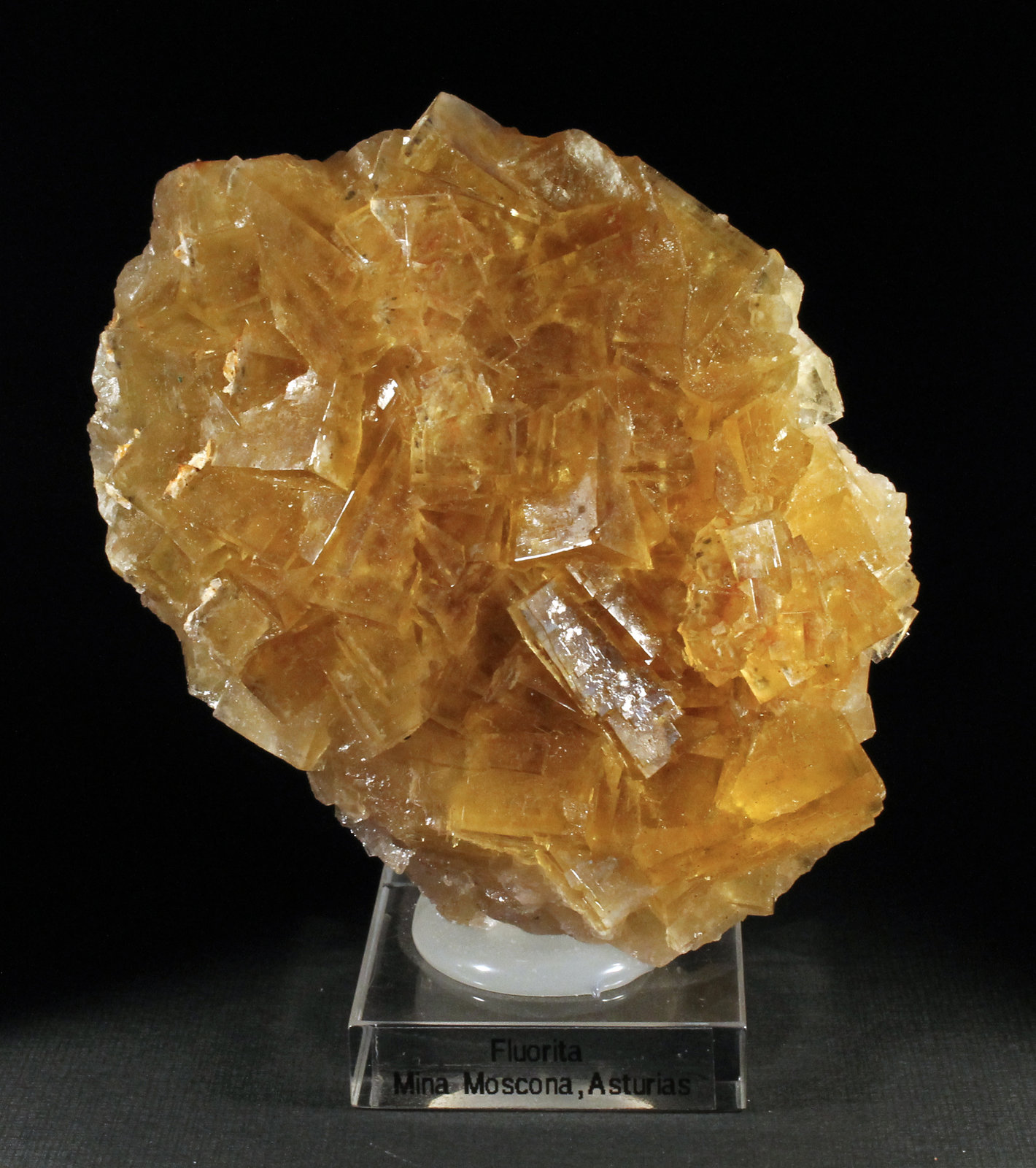 Fluorita
8,5 x 7,5 cm. (Cristal mayor: 2,5 cm).
(Autor: Darío Menéndez)