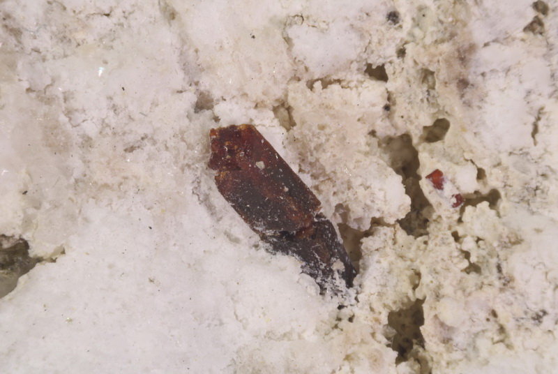 Manganoneptunita
2 x 0,8 mm
(Autor: Jorgina-Agusti-Màrius)