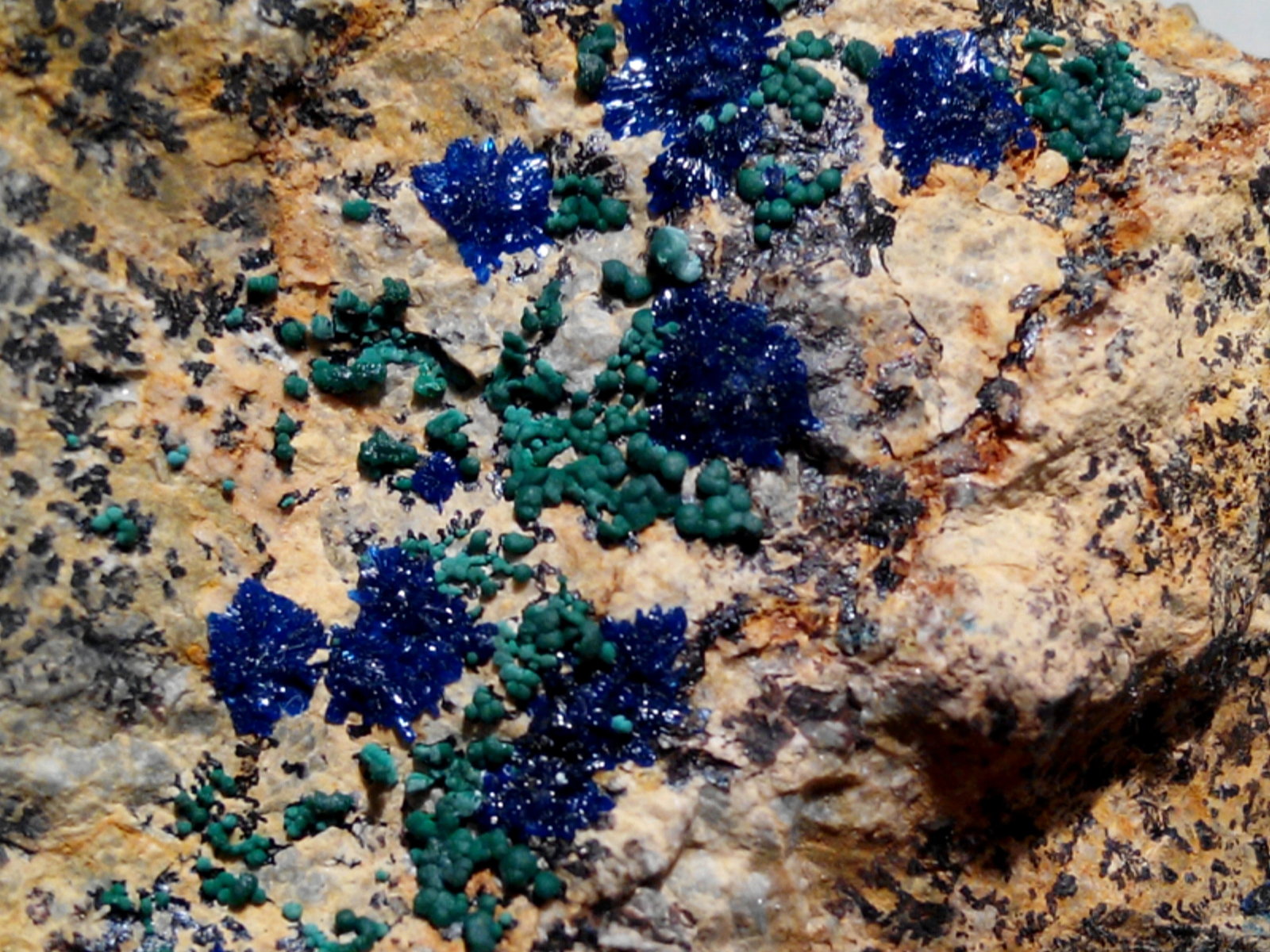 Rosasita, Azurita
2,5 x 2 cm (encuadre)
(Autor: Frederic Varela)