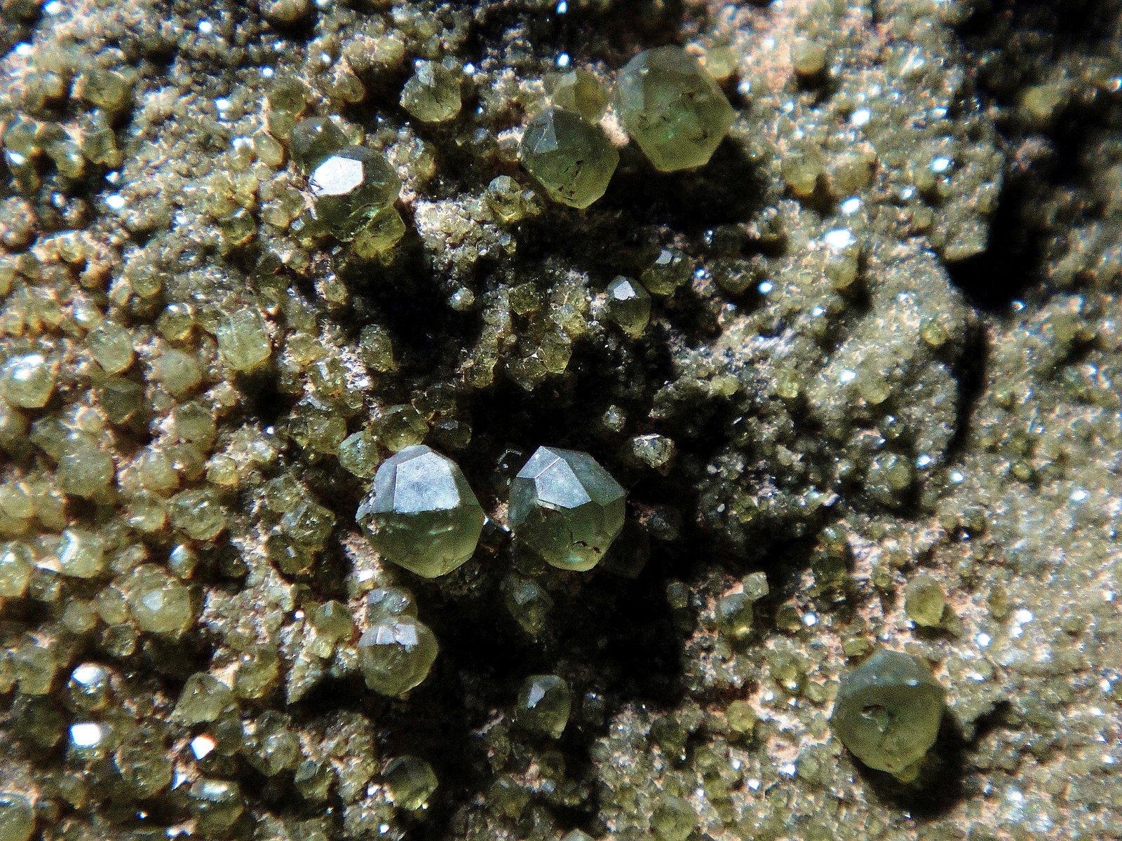 Andradita (variedad demantoide) (Grupo Granate)
Campo de visión 4 cm.
(Autor: Antonio P. López)