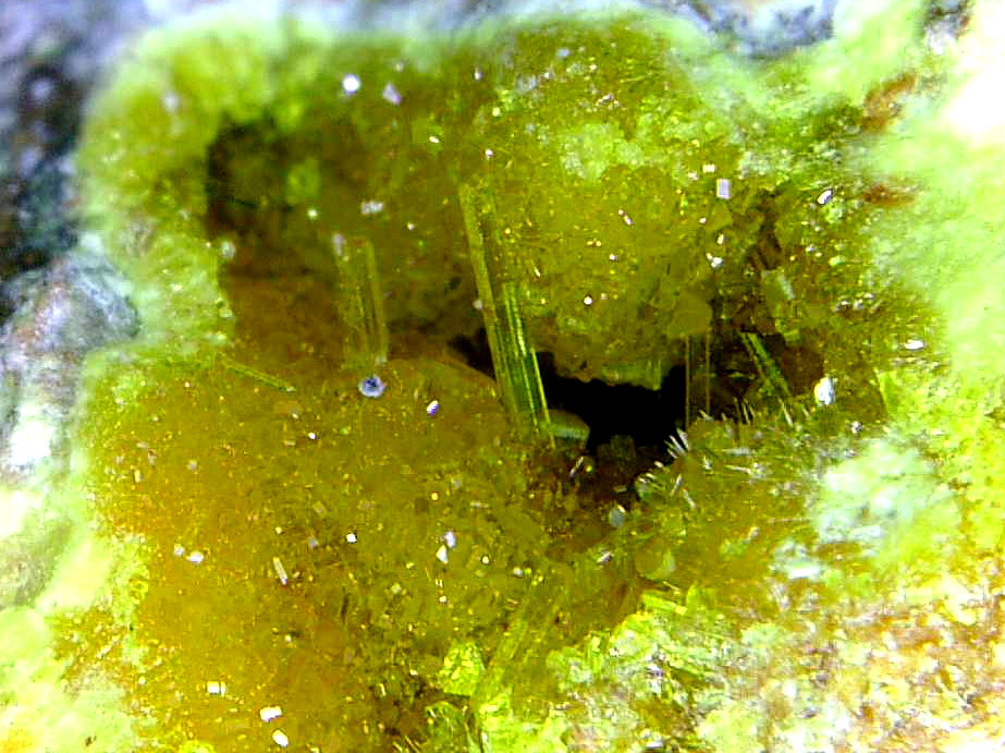 Uranofana
Campo de visión 5 mm.
(Autor: Antonio P. López)