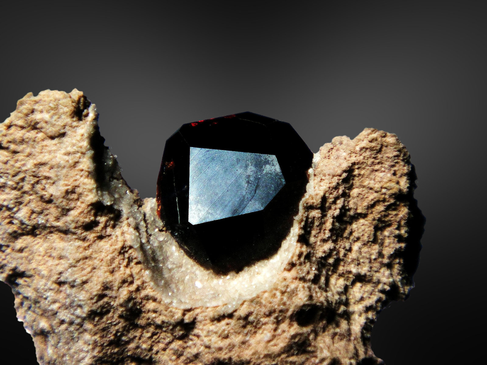 Almandino (Grupo Granate)
Cristal de 1 cm.
(Autor: Antonio P. López)