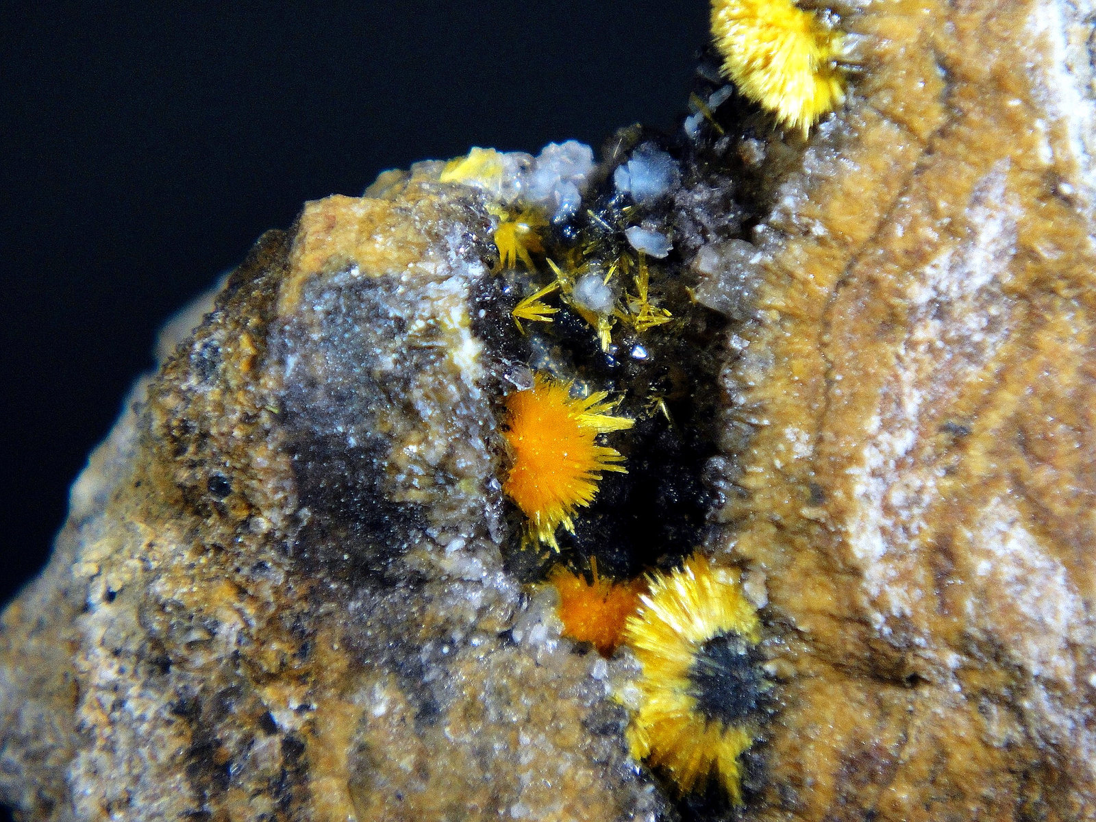 Boltwoodita
Campo de visión 3 cm.
(Autor: Antonio P. López)