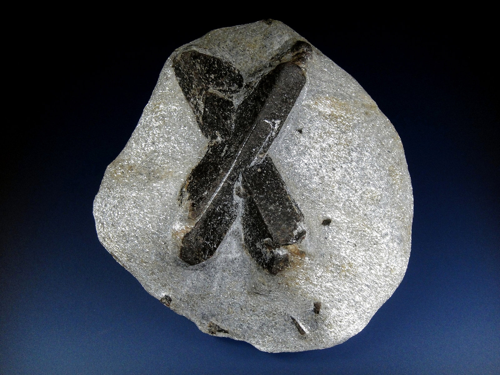 Estaurolita
10 x 10 cm.
(Autor: Antonio P. López)