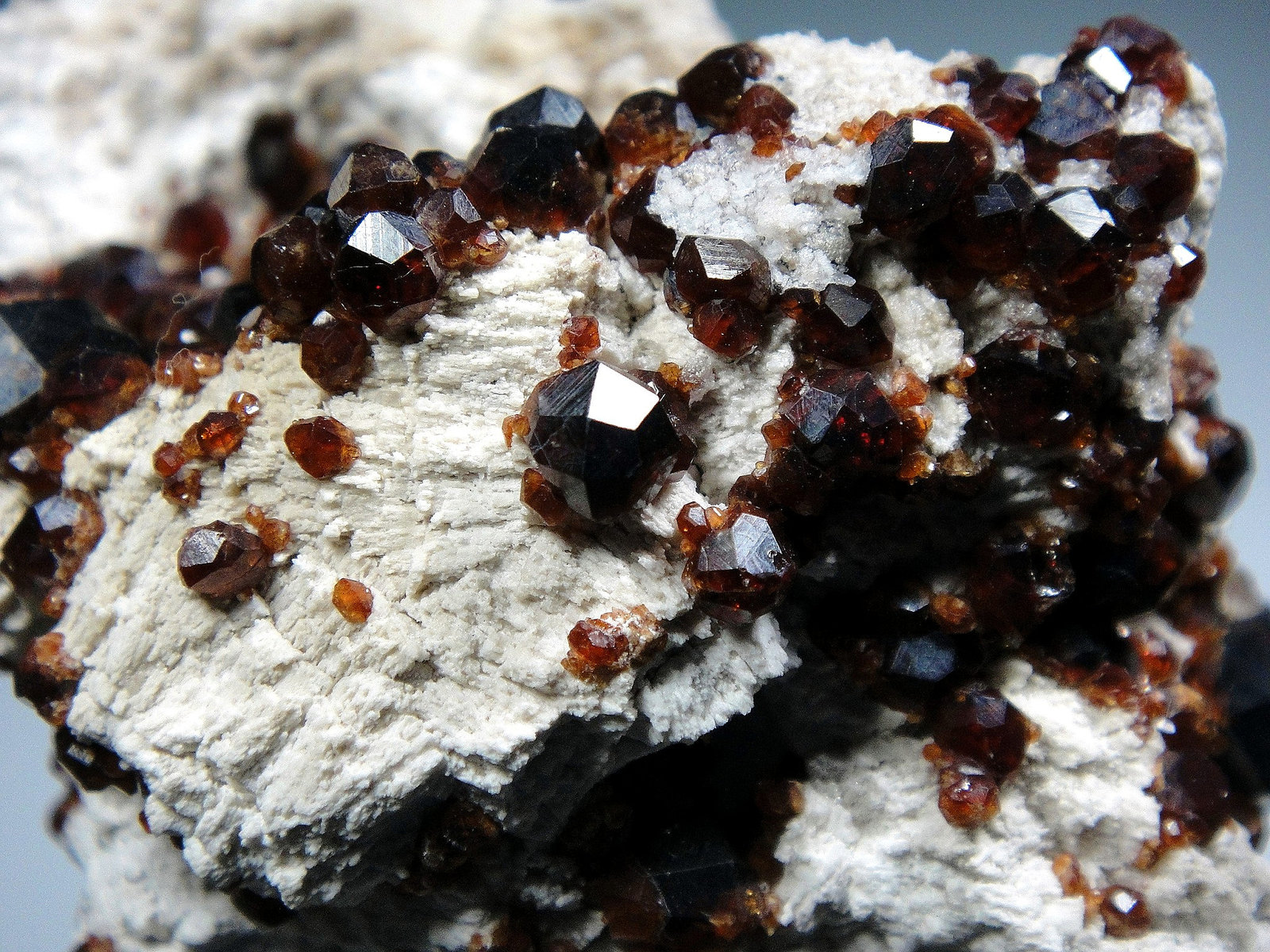 Spessartina (Espesartina) y Microclina
Campo de visión 4 cm.
(Autor: Antonio P. López)