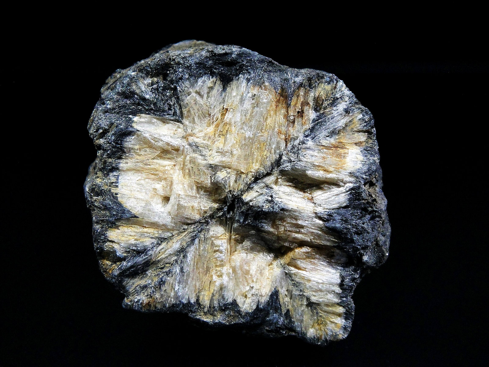 Andalucita (variedad quiastolita)
6 x 5 cm.
(Autor: Antonio P. López)