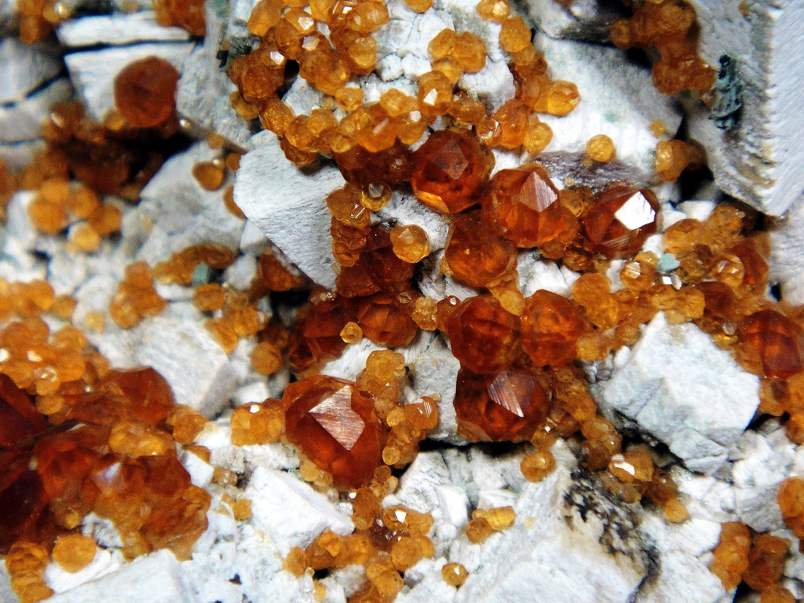 Spessartina (Espesartina) y Microclina
Campo de visión 3 cm.
(Autor: Antonio P. López)